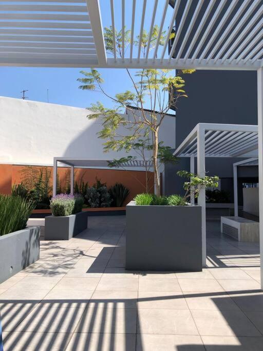 Be Central Departamento Con Alberca En El Centro De Guadalaja غوادالاجارا المظهر الخارجي الصورة